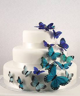 Butterfly Cake Decoration