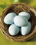 Set of 24 Birds Nests with Sugared Almonds