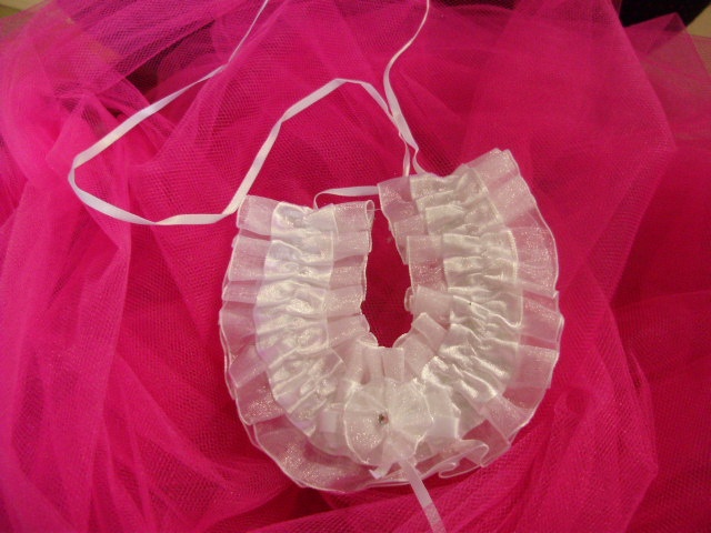 Horse shoe in satin and organza