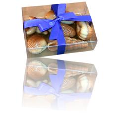 Boxed Seashell Chocolates