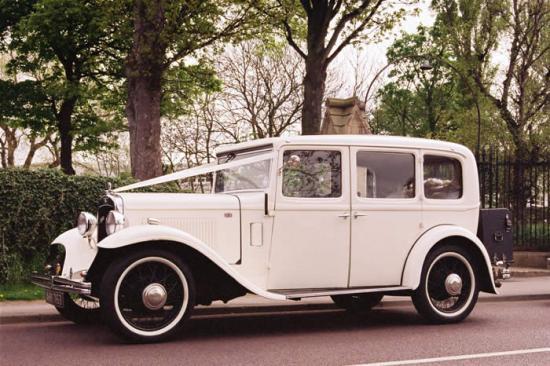 Wedding Car Ribbon