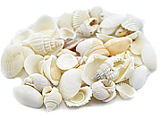 Shell decorations 09 - 1 kilo mixed