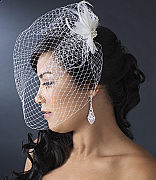 'Shannon' Veil / Birdcage