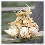 Shell decorations 10 - 30 items