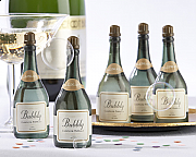 Champagne Bottle Bubbles