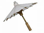 Parasol