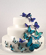 Butterfly Cake Decoration