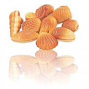 Chocolate Sea Shells Belgian chocolates (Box of 85)